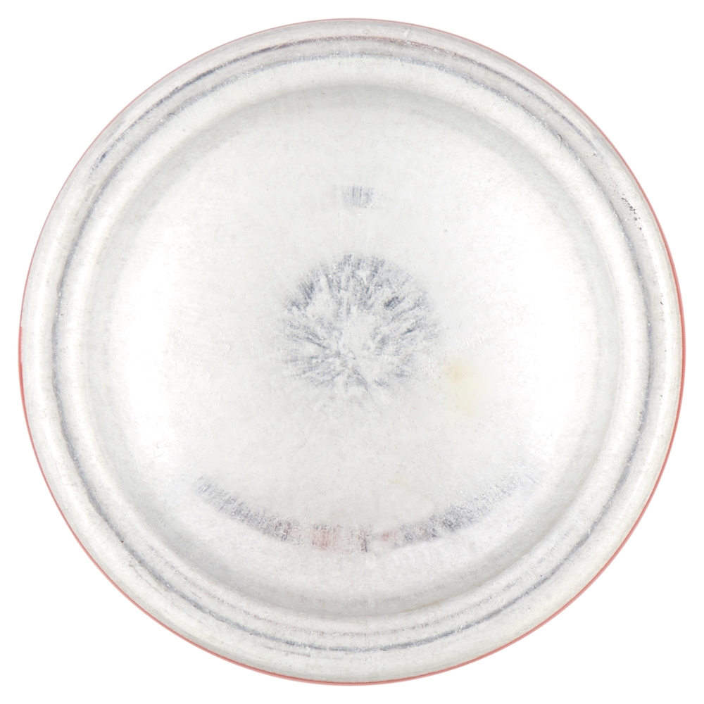 Bilba Spuma Cristalli Liquidi con Semi di Lino 200 ml